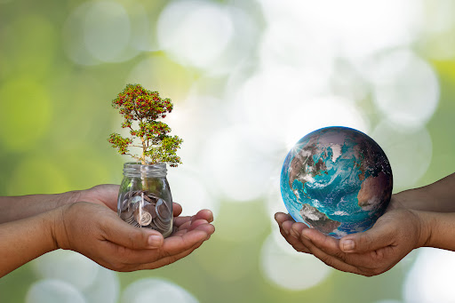 Biodiversity and climate change represented by a tree in a pot and the Earth in someone's hands
