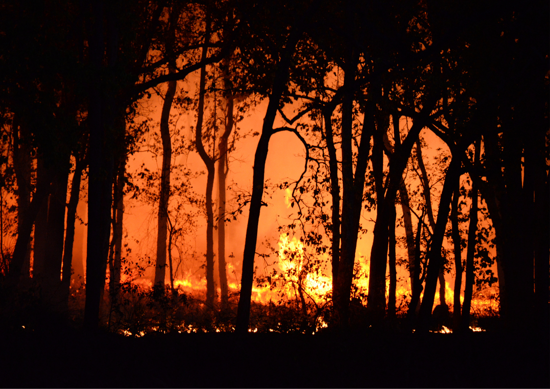 Bushfires are another extreme weather event that will increase in frequency.