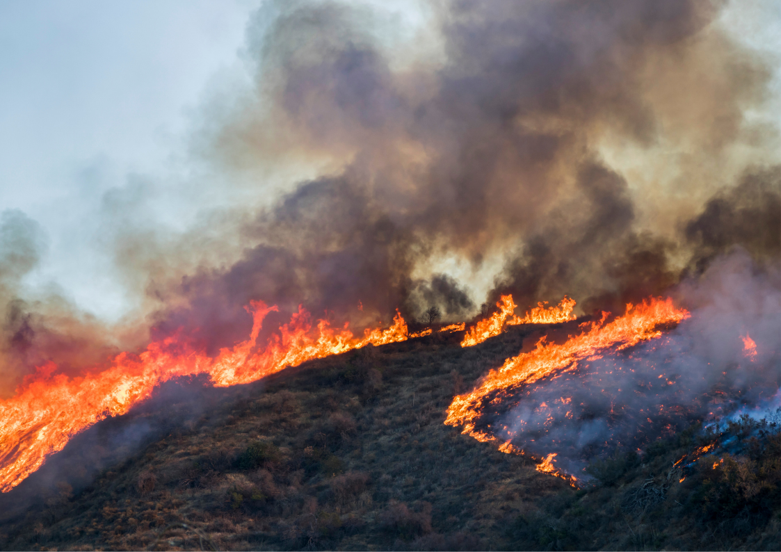 Wildfires will increase in severity and frequency, the WGII IPCC Sixth Assessment Report says