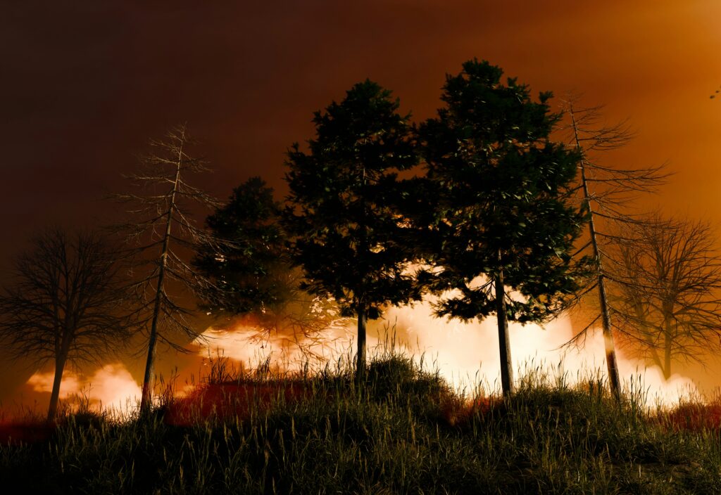 Land based interventions such as preventing deforestation and re-planting trees make up around 25% of countries promised action to tackle climate change. With worsening droughts and widespread fires, nature is under unprecedented strain. The countries highest in biodiversity are often those facing the biggest financial difficulties, compounded by the pressure to protect ecosystems that are globally significant.