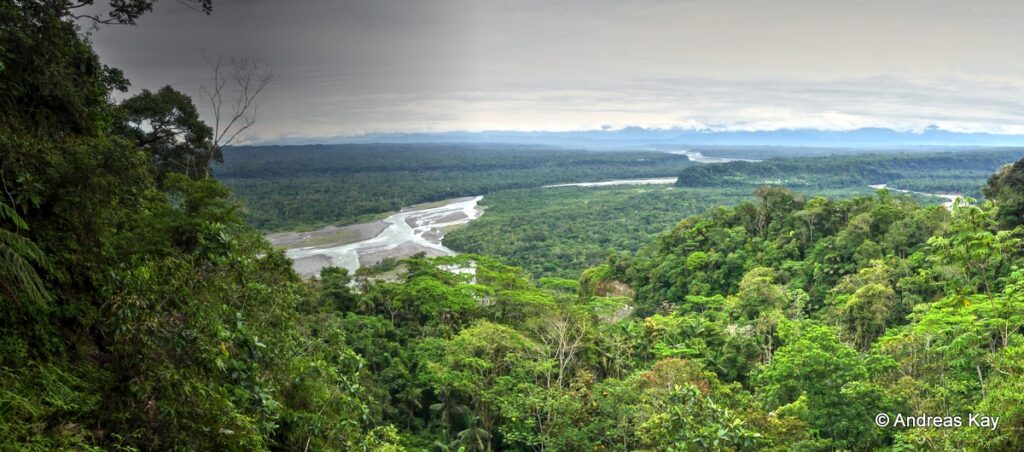 Despite being responsible for 30% of emissions and holding the key to delivering 30% of cost effective climate solutions, nature and food systems consistently fail to be addressed at the Climate Summit negotiating table.